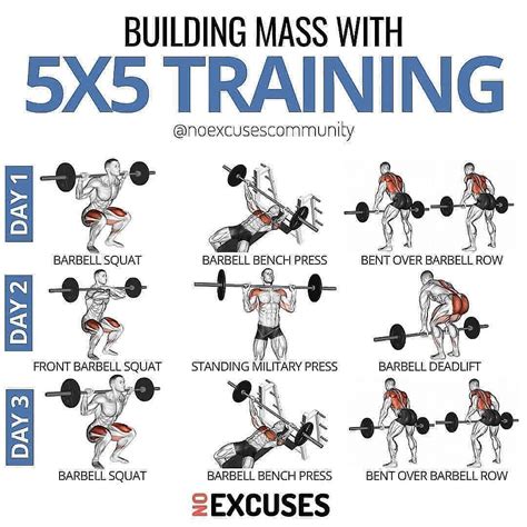 The 5x5 Workout: How to Build Mass with 5x5 Training.